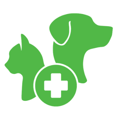 Chronic Disease Management Icon