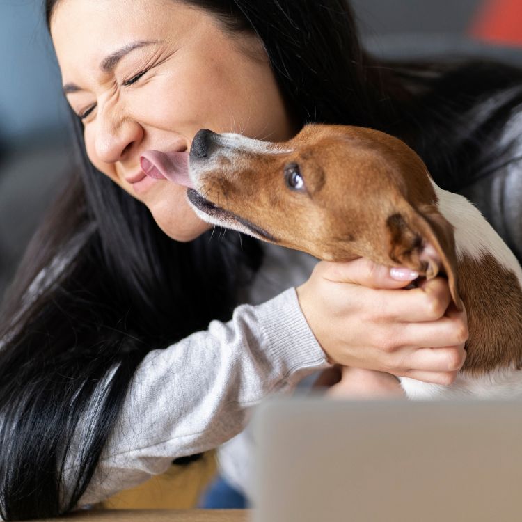 Dog licking a woman's face