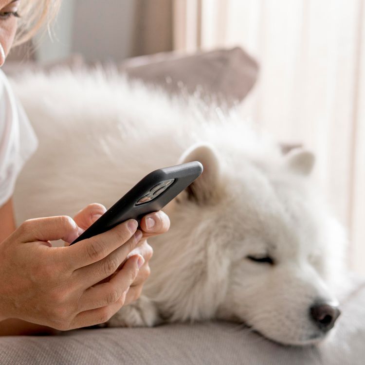 Dog sleeping next to a woman on the phone