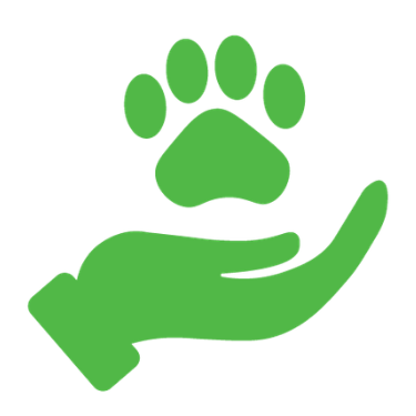 Pet Wellness Icon