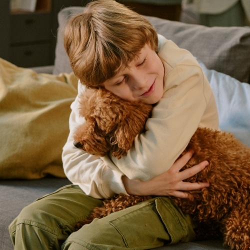 A child with reddish-brown hair hugs a fluffy brown poodle on a sofa.