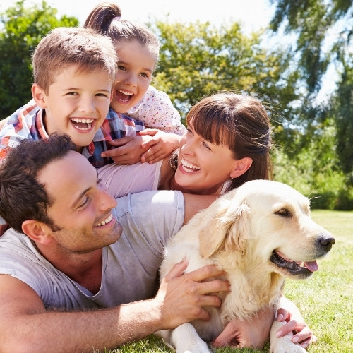 A family and their golden retriever dog are lying on the grass in a park, all smiling and looking happy.